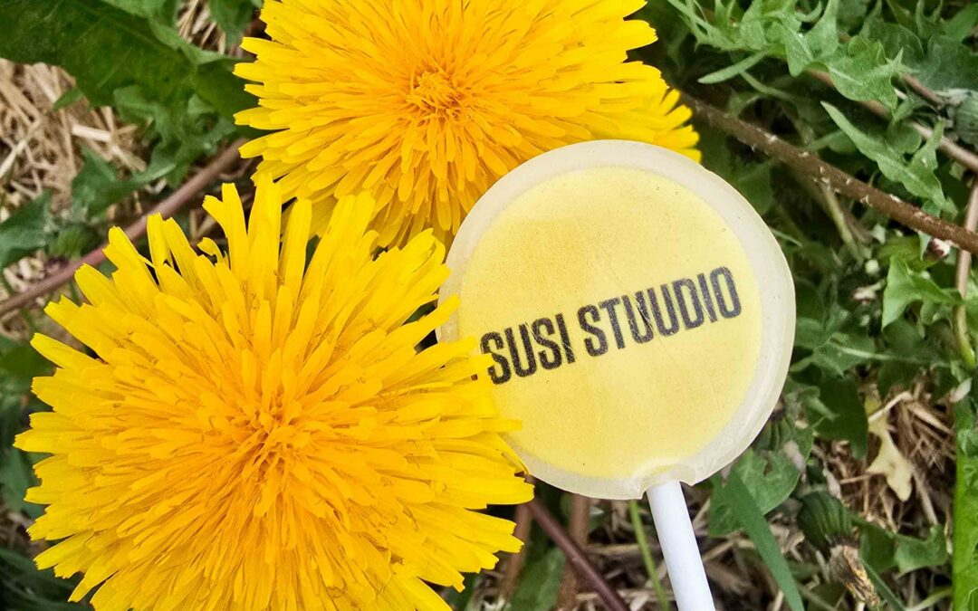 Susi Stuudio